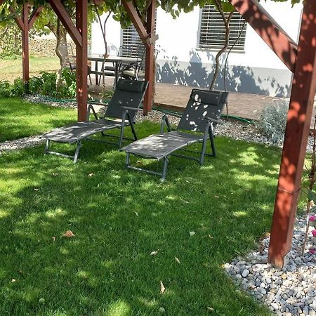 Apartma Nona Roza Zgornje Skofije Luaran gambar
