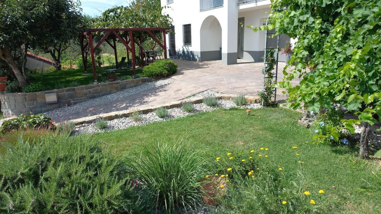 Apartma Nona Roza Zgornje Skofije Luaran gambar